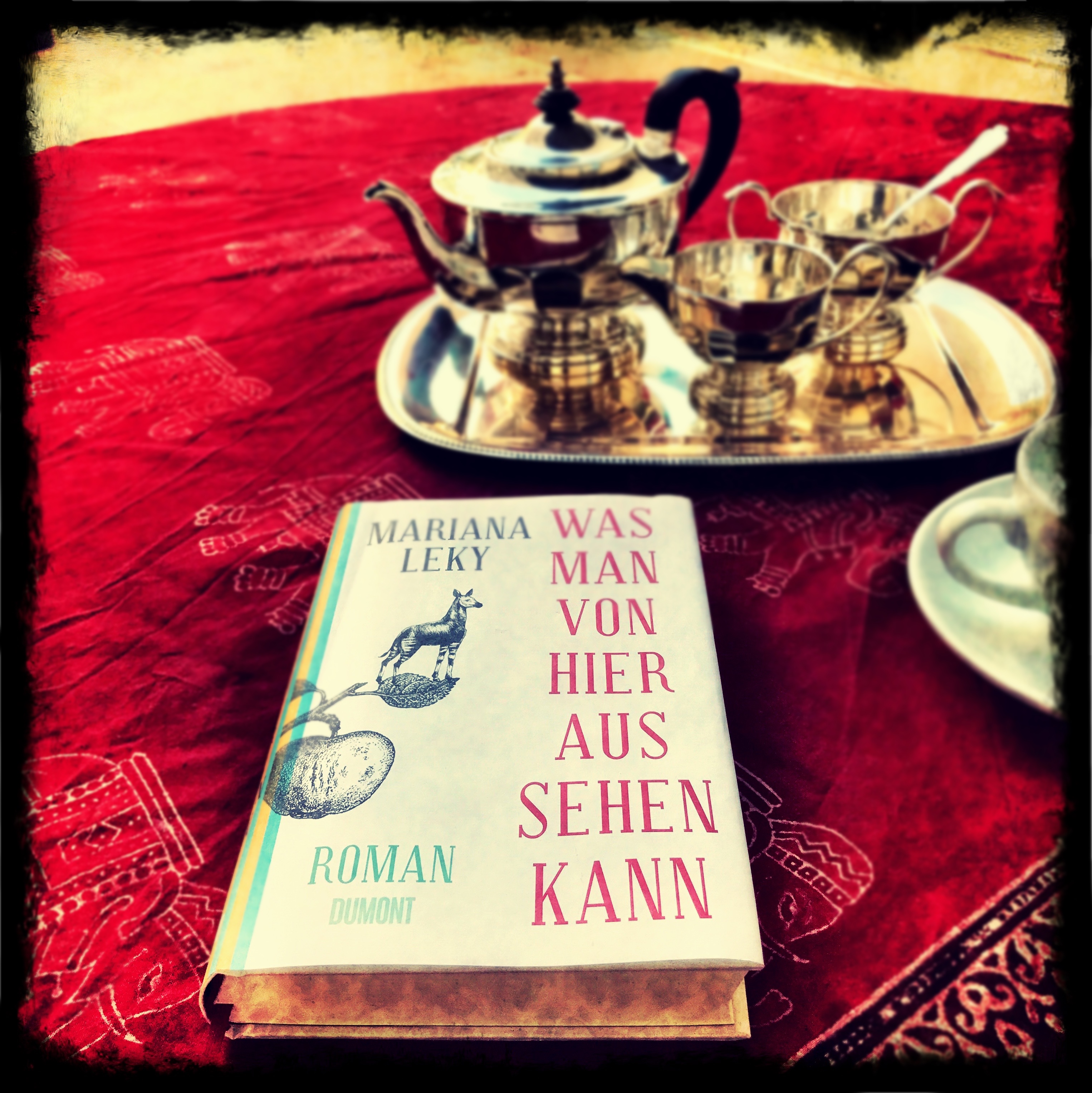 IMG_5570 unscharfer Hintergrund