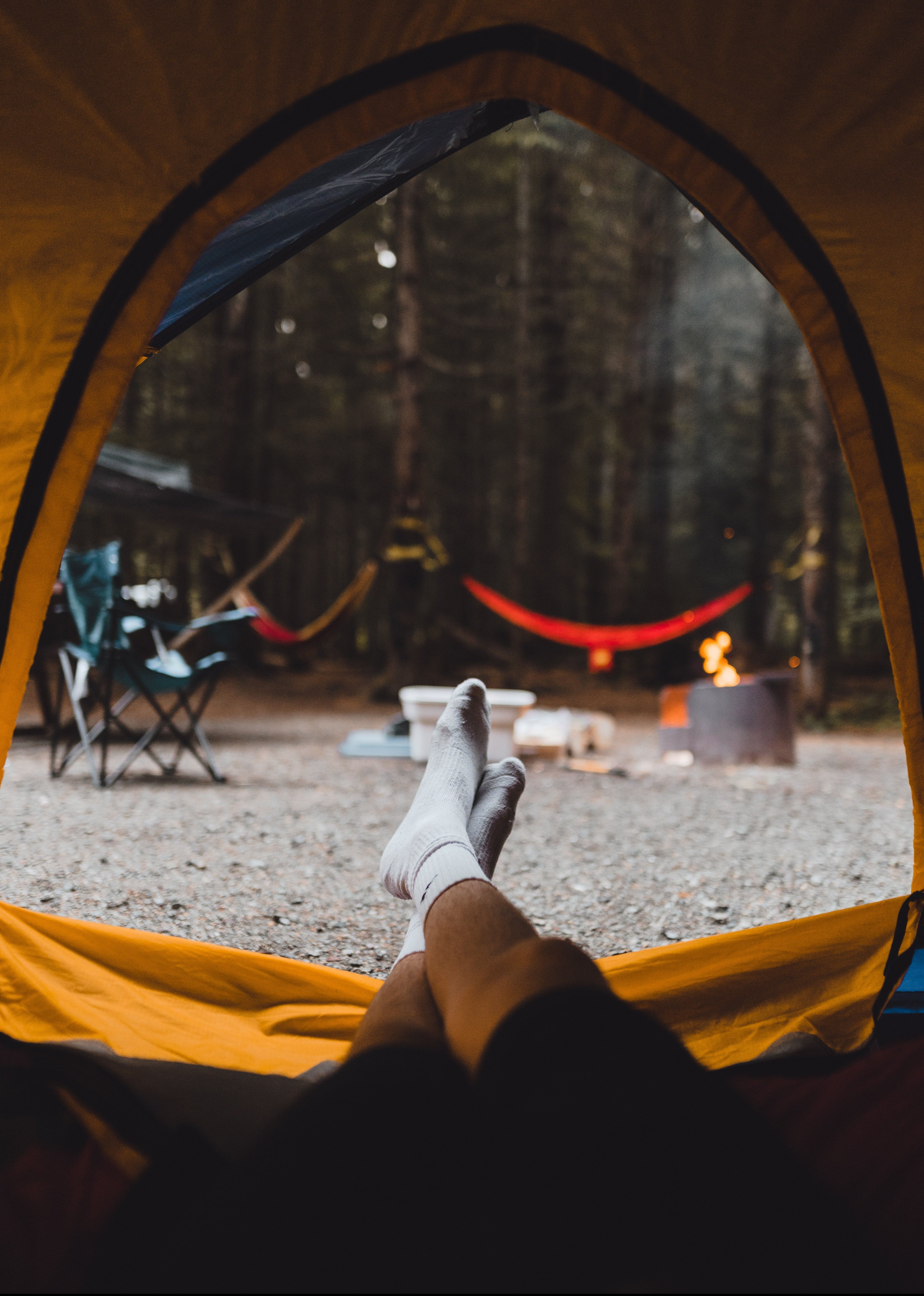 2019_03_08 rye-jessen-1146995-unsplash